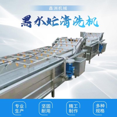 黑水虻清洗机