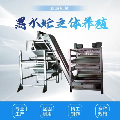 黑水虻立体养殖