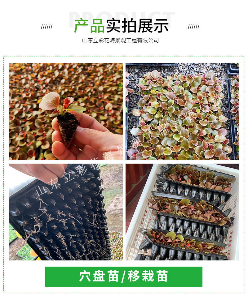 20_03_看图王