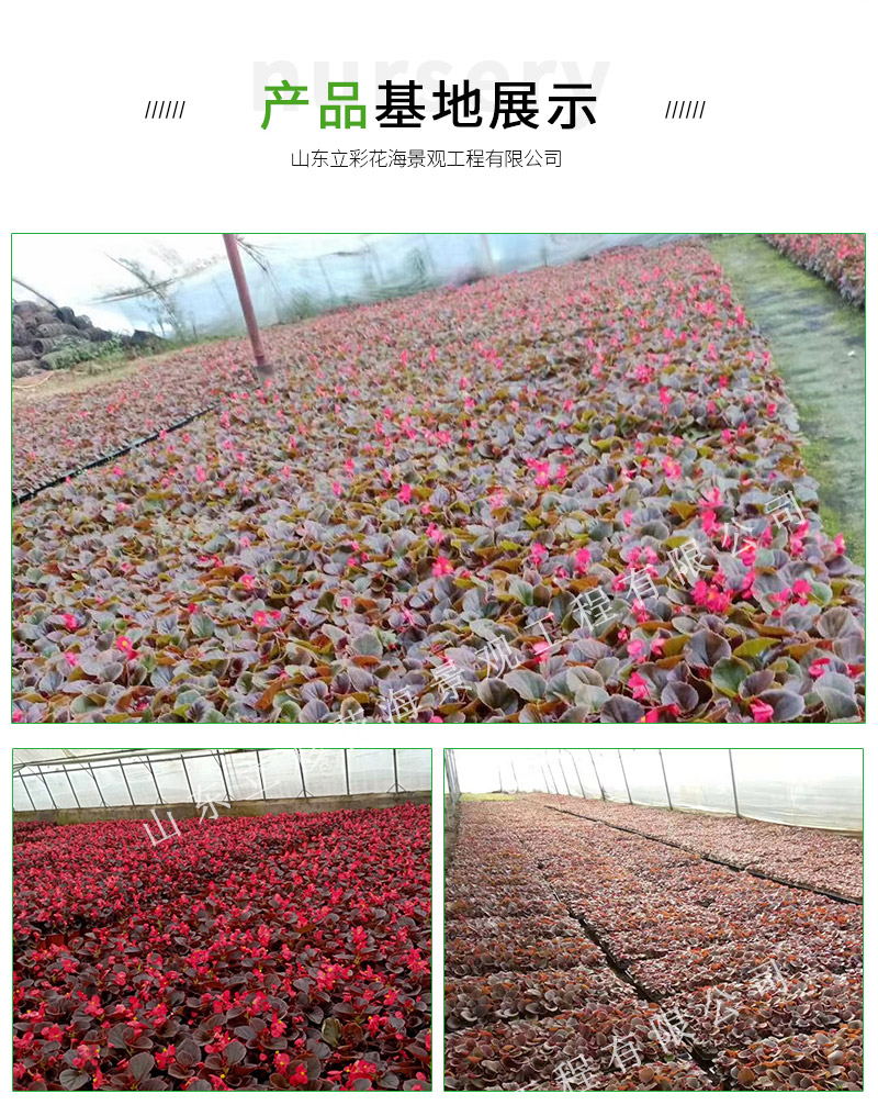 20_05_看图王