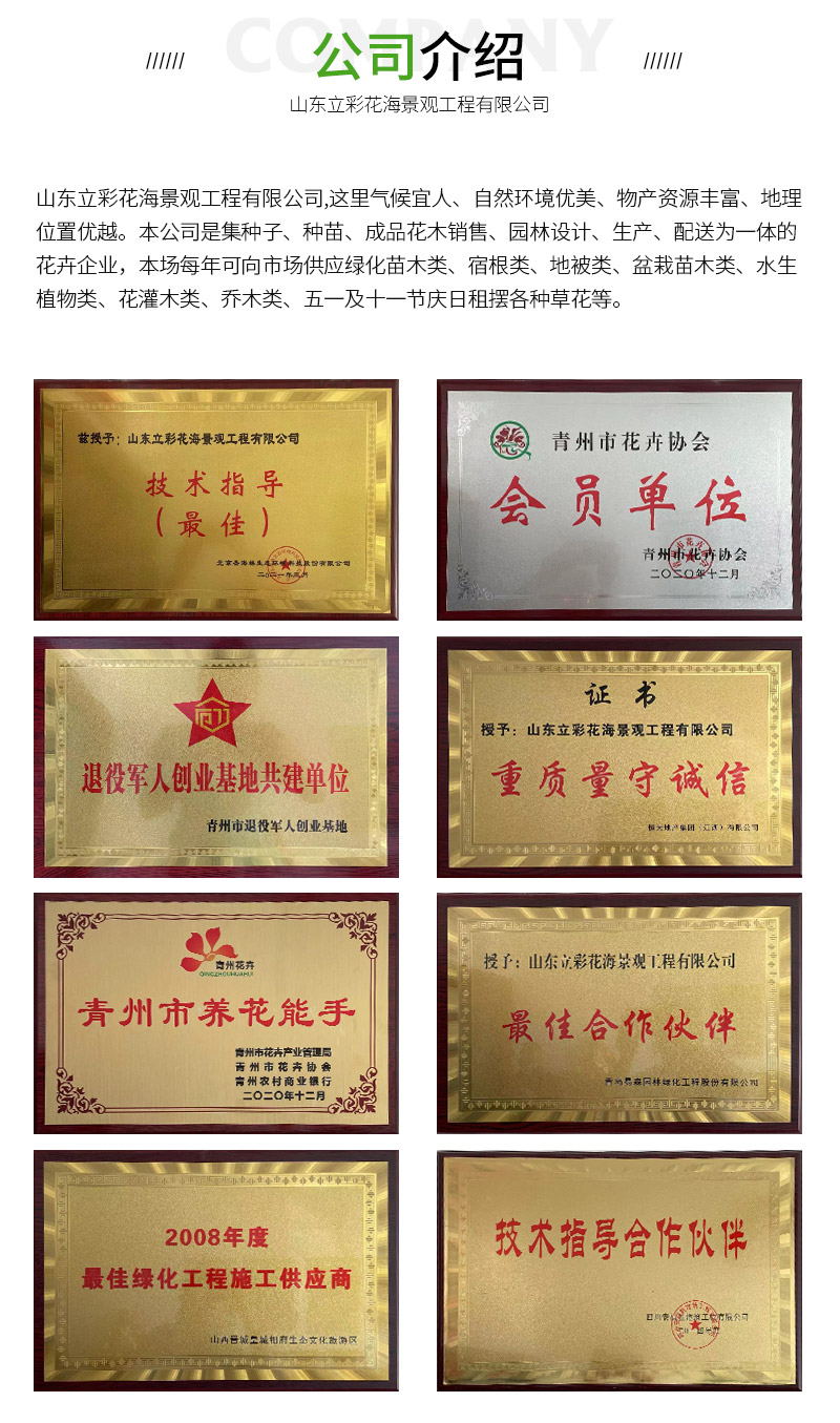 20_11_看图王
