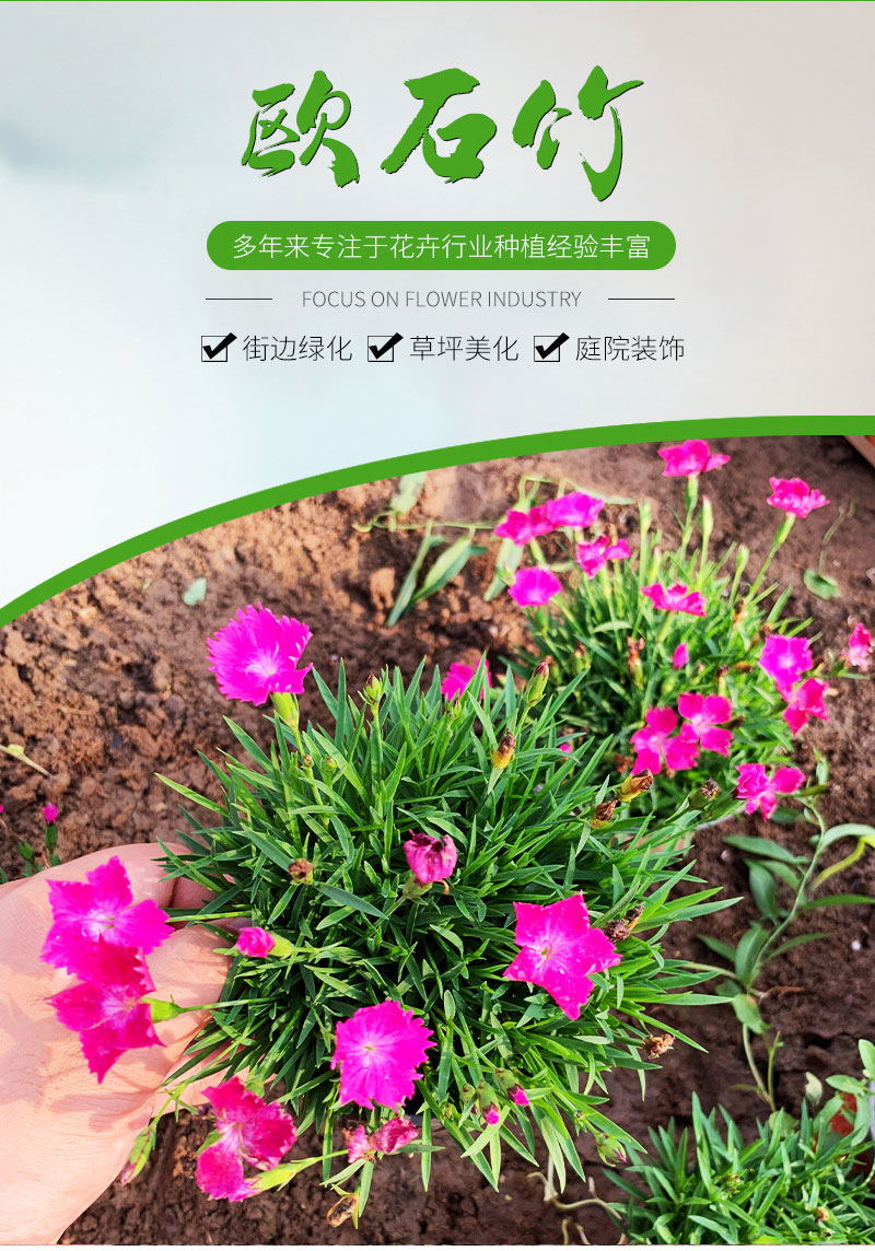 2_01_看图王