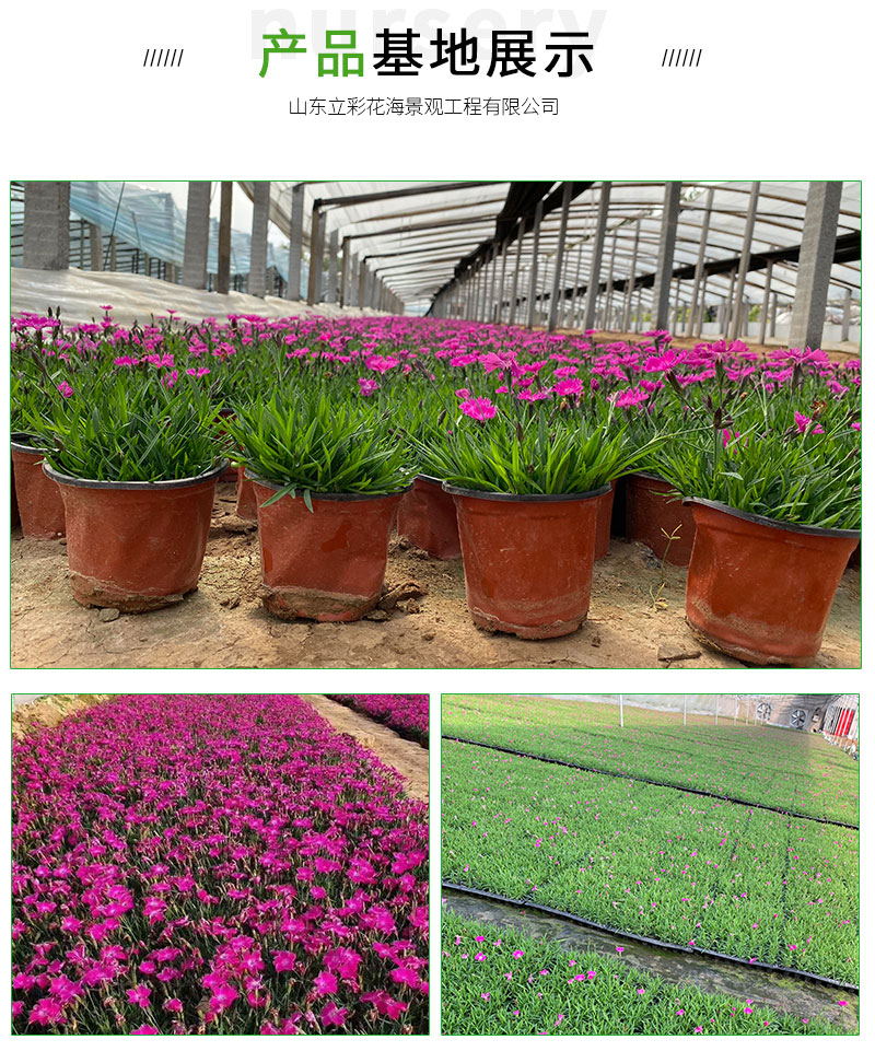 2_05_看图王