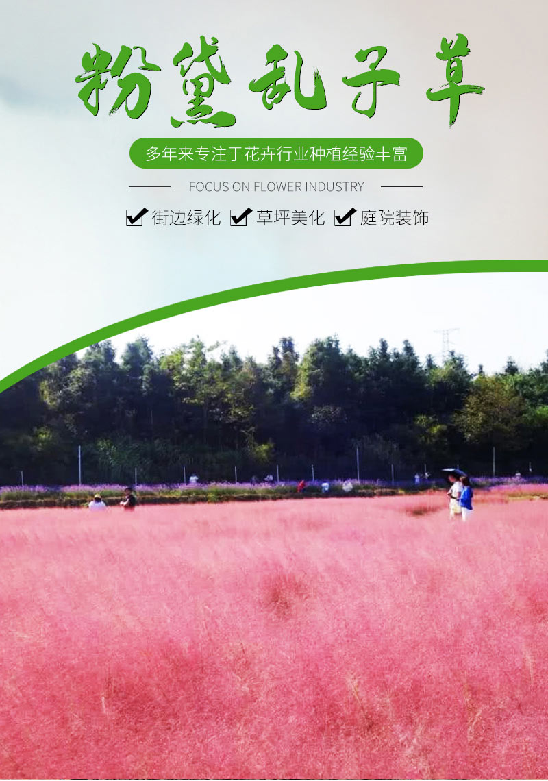 粉_01