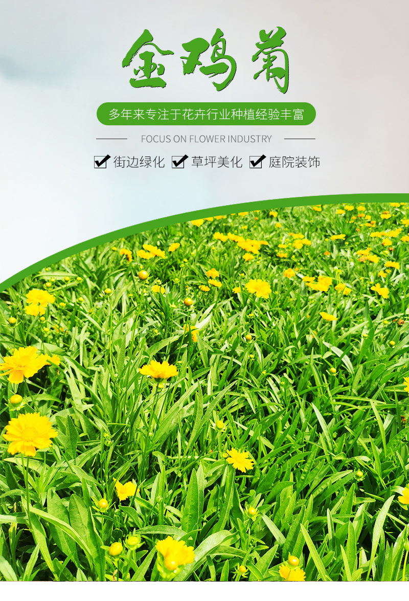 6_01_看图王_看图王