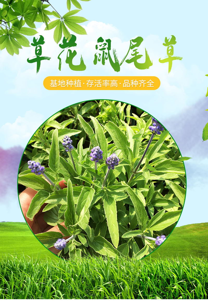 9_01_看图王