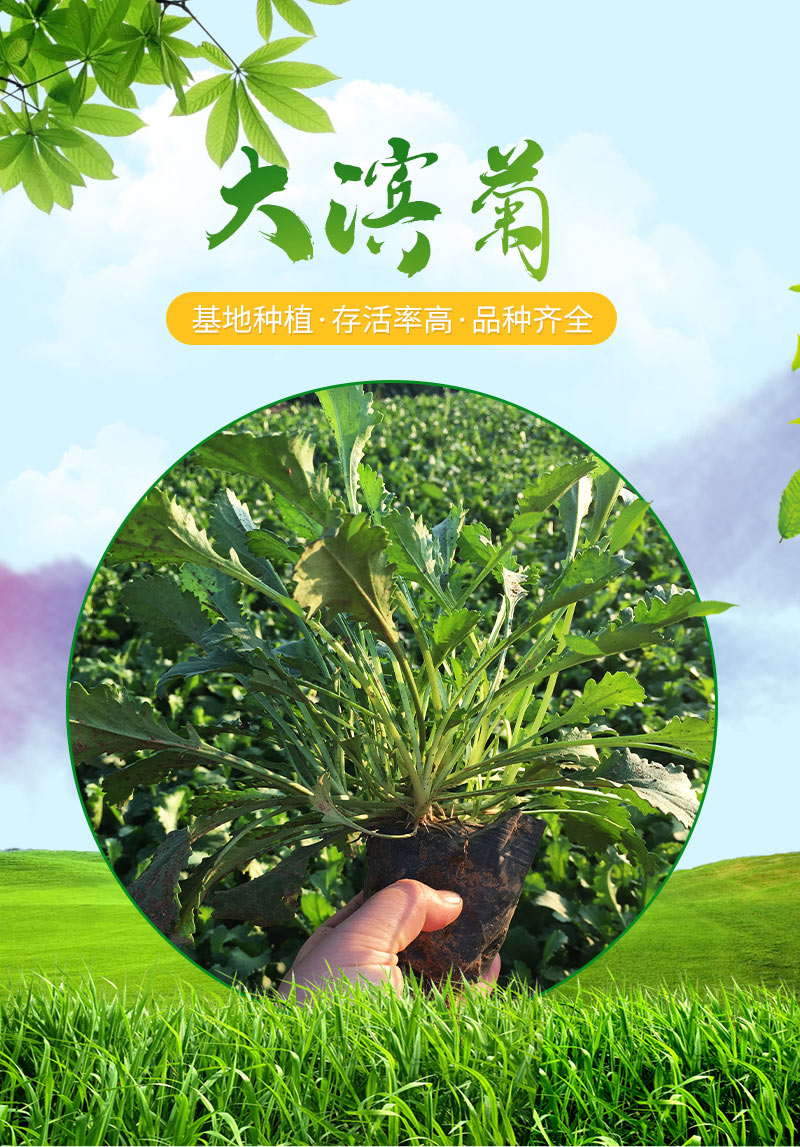 10_01_看图王