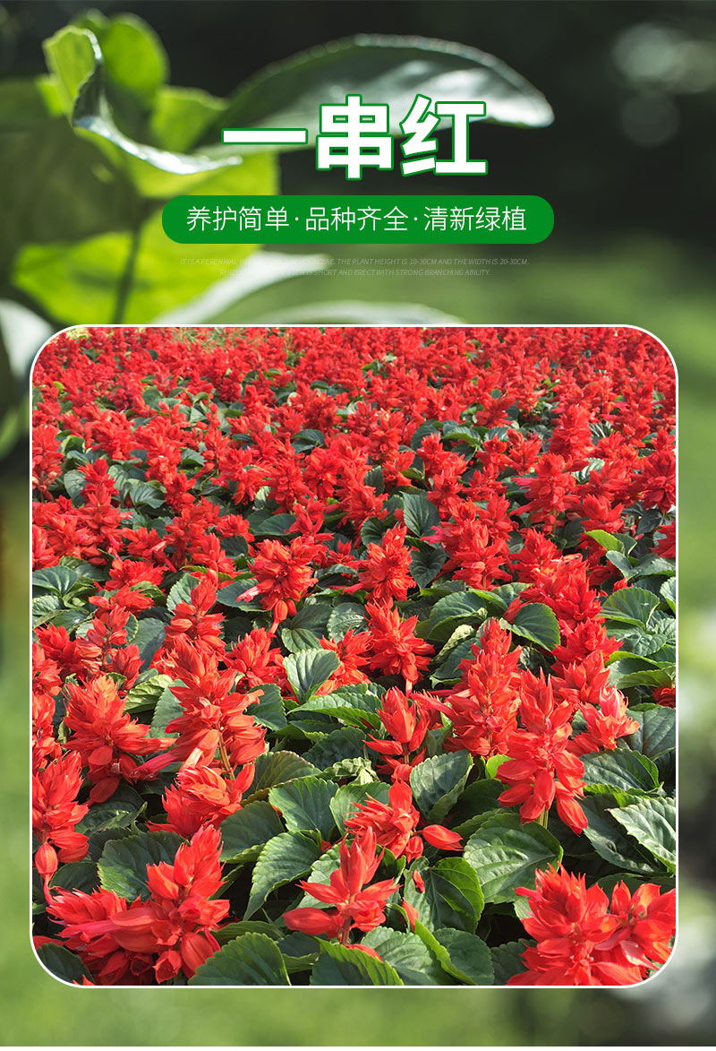 11_01_看图王