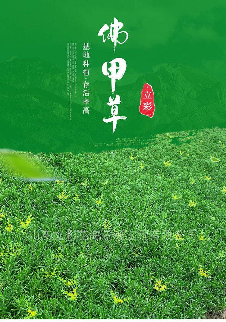 14_01_看图王