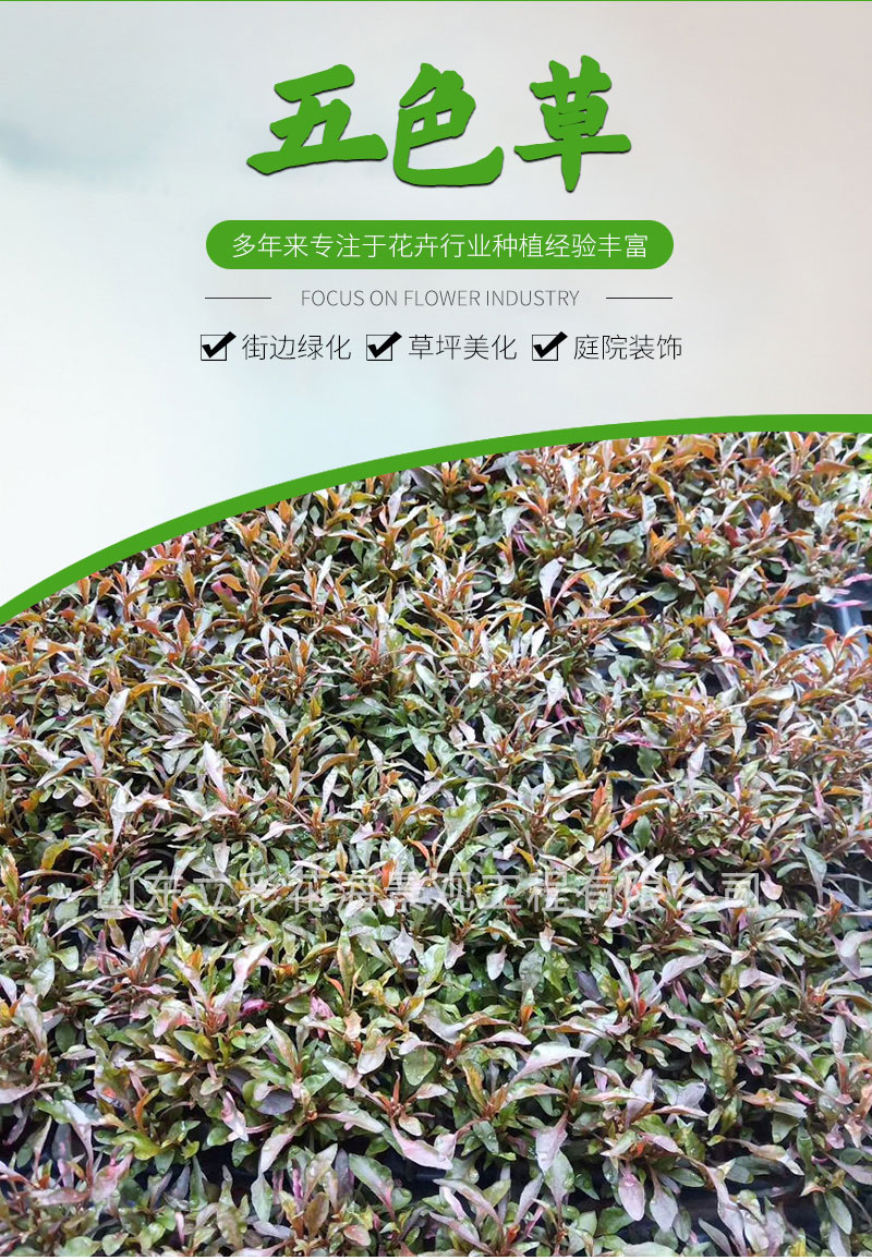 微信图片_20220308171024