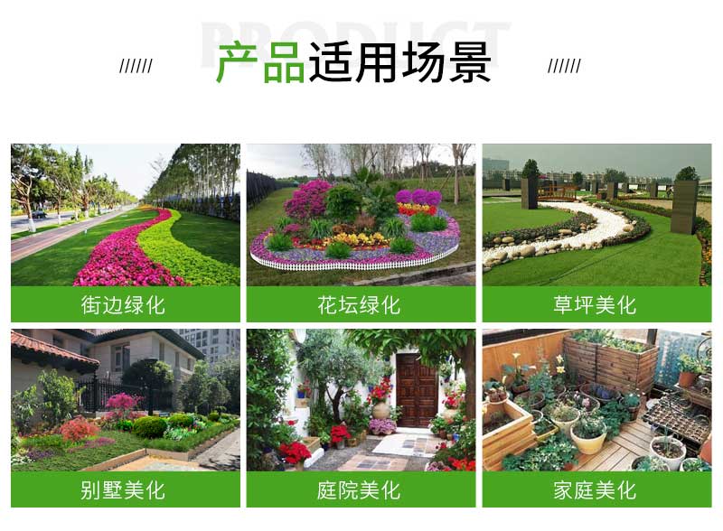 2假龙头_02