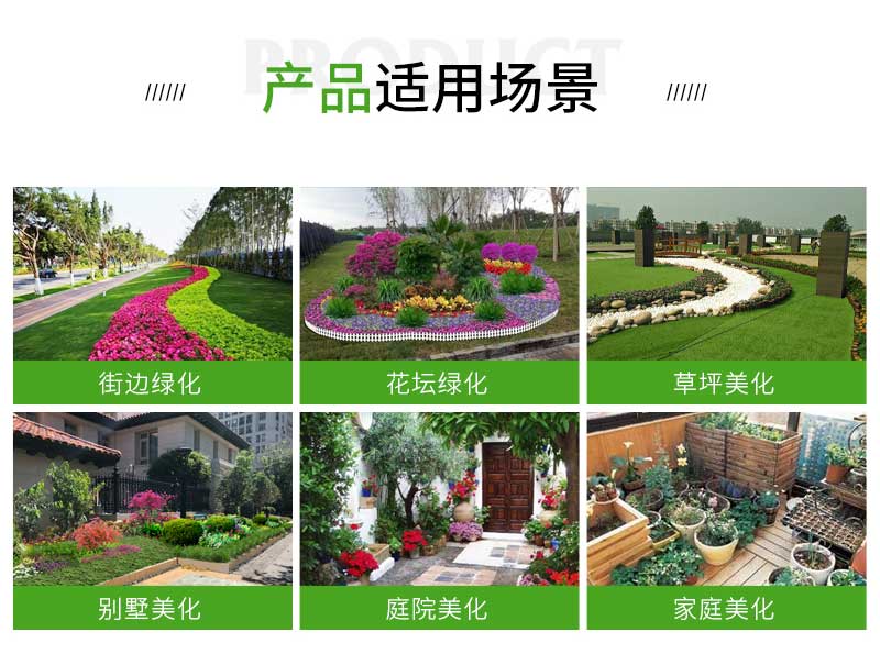 3火焰南天竹_02