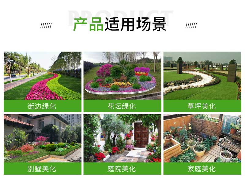 4青绿苔草_02