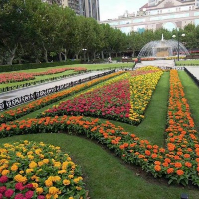 花海景观