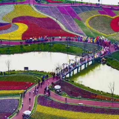 花海景观