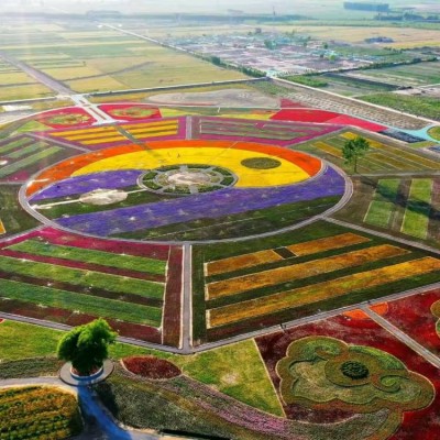 花海景观